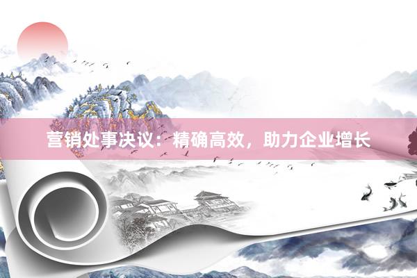 营销处事决议：精确高效，助力企业增长